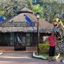 Bar with strange telephone on the main square of Buena Vista